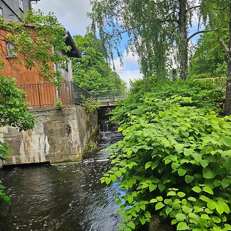 Pod Strzecha * Lipusz